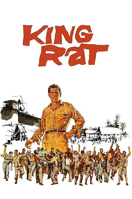 King Rat